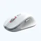 Мышь игровая ByteNest DualBlader